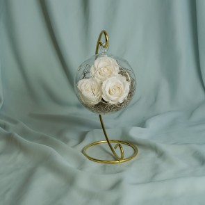  3 Trandafiri albi criogenati in suport de sticla