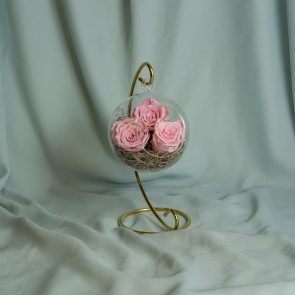  3 Trandafiri roz pal criogenati in suport de sticla