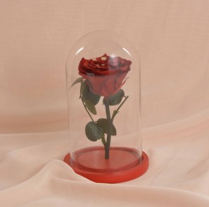 Trandafir criogenat rosu in cupola sticla